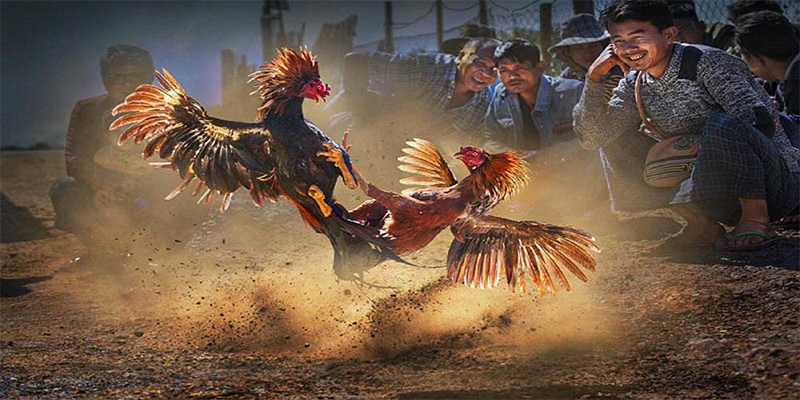 789win06 chơi bắn cá đổi thưởng