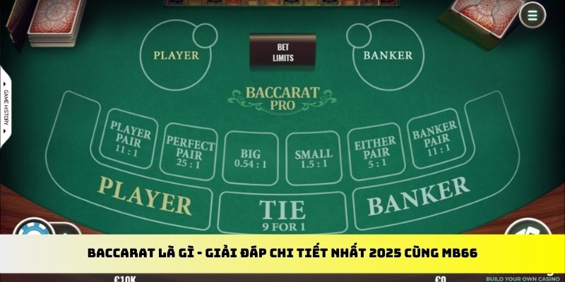 789win06 gà chọi cu cần