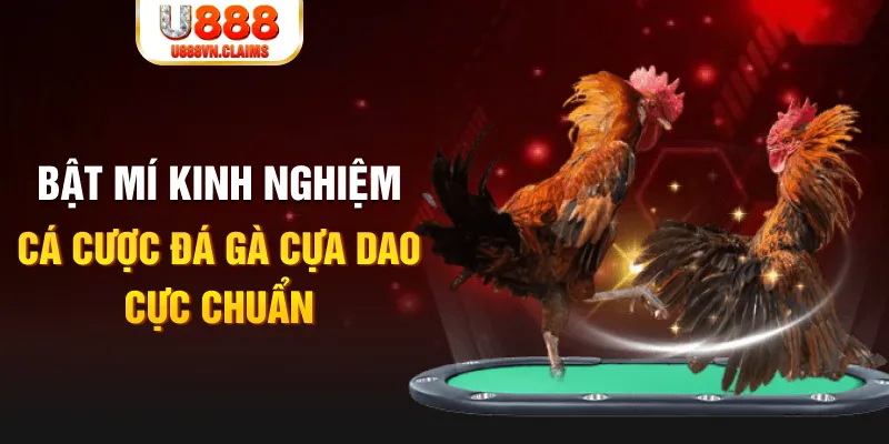 789win06 tỷ lệ cá cược châu á là gì