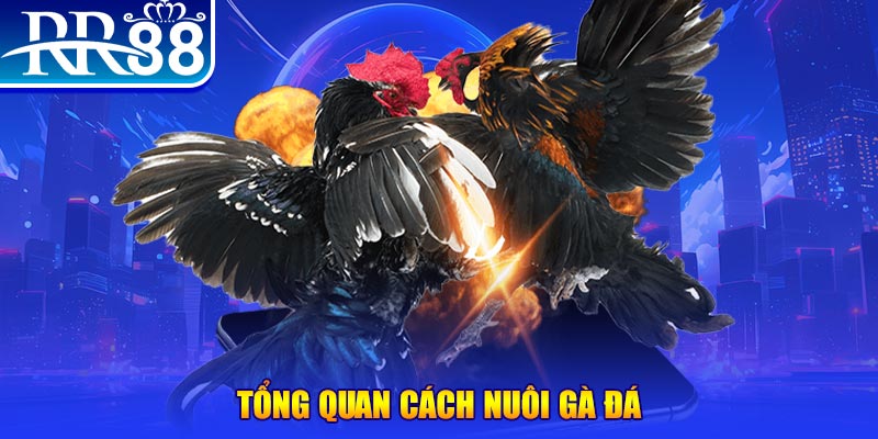 789win06 VA Điện Tử