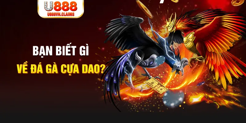 789win06 nổ hủ là gì