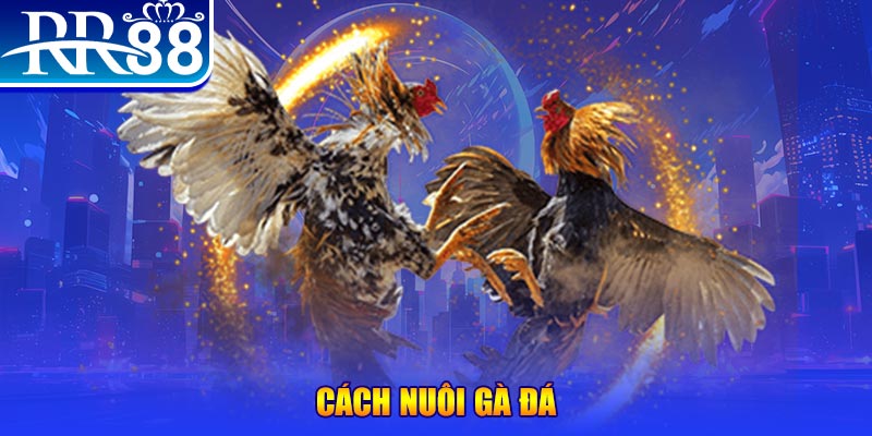 789win06 xổ số an giang