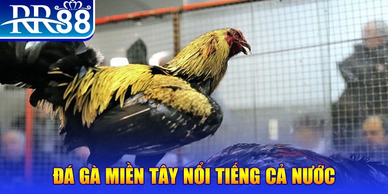 789win06 JILI Game Bài 3d