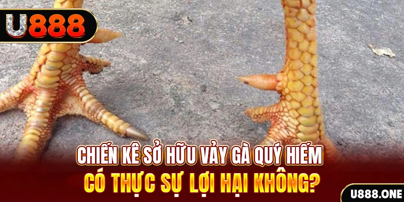 789win06 nohu .mx nổ hủ là gì