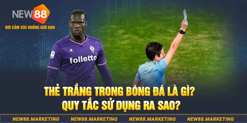 789win06 gà chọi mộc hóa