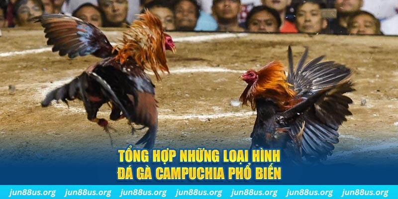 789win06 đăng nhập nổ hũ 2024