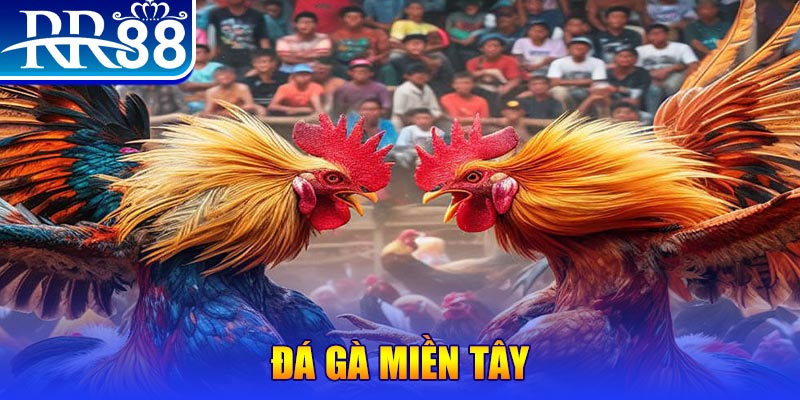 789win06 đăng nhập nổ hũ