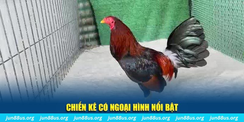 789win06 chạy quảng cáo cho game bài bị phạt như thế nào